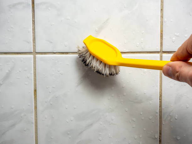 Best Water Damage Restoration  in Fairbury, IL