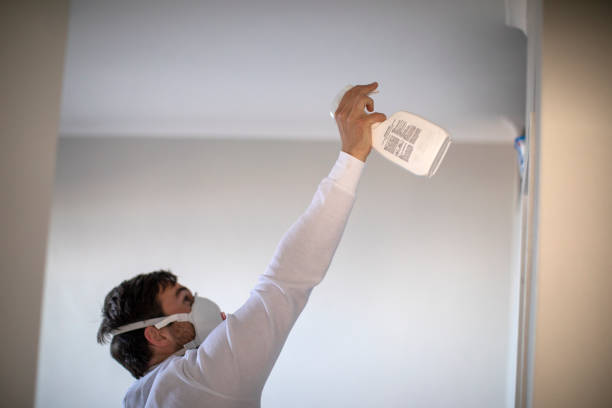 Best Home Mold Removal  in Fairbury, IL