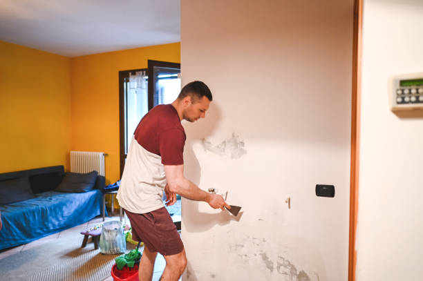 Best Black Mold Removal  in Fairbury, IL