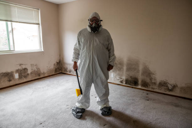 Crawl Space Mold Removal in Fairbury, IL